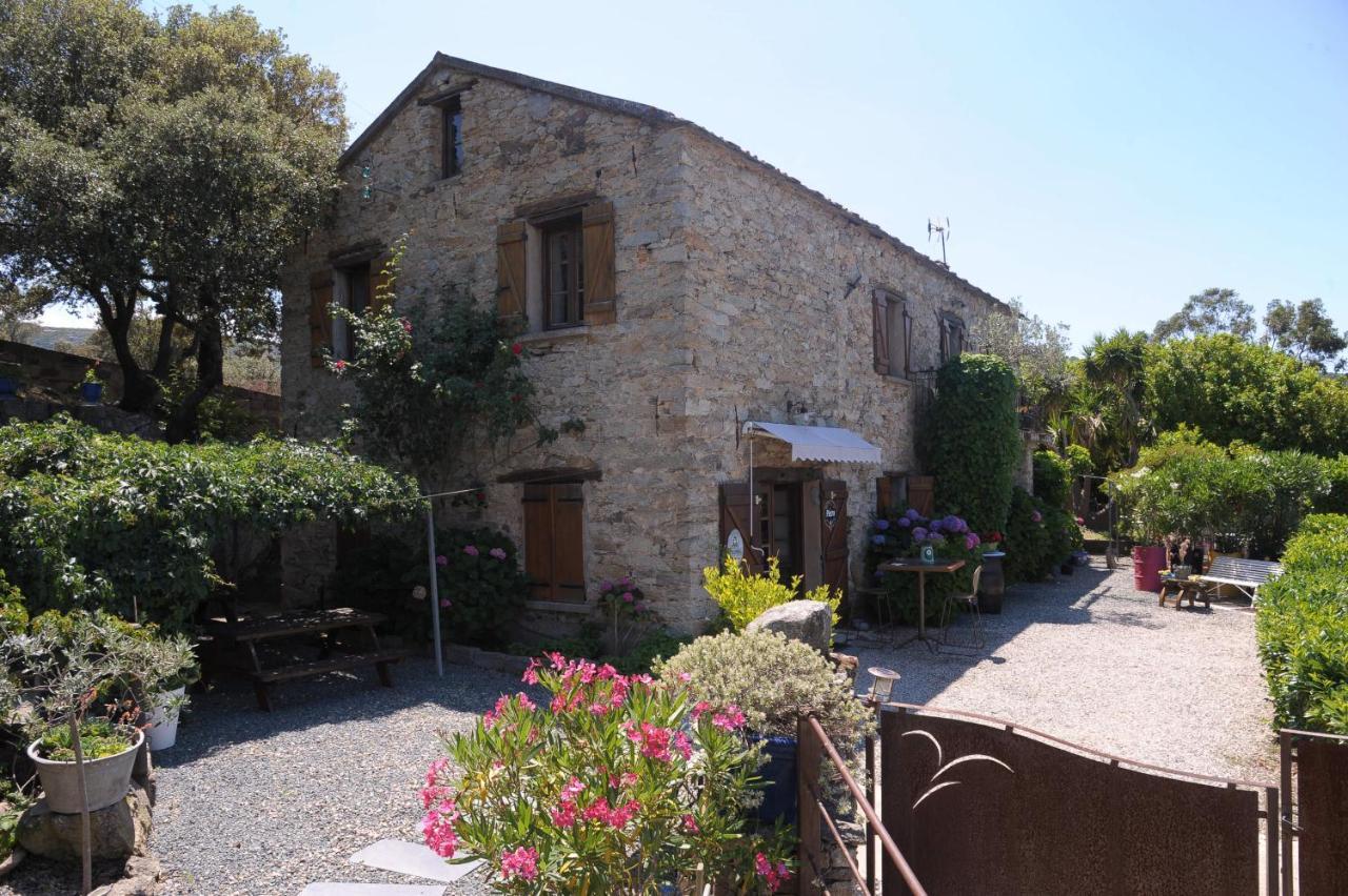 Bed and Breakfast A Casa Di Paulina à Casta Extérieur photo