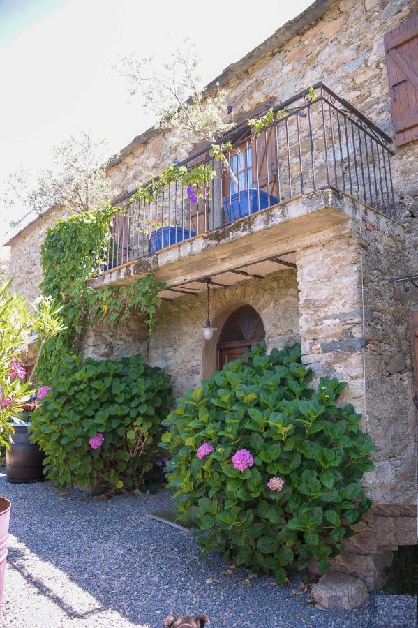Bed and Breakfast A Casa Di Paulina à Casta Extérieur photo
